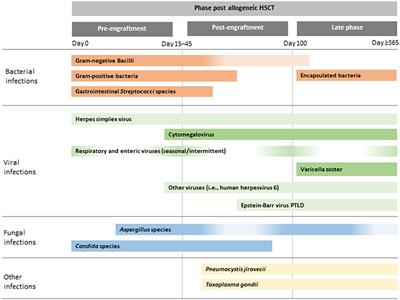 Infectious Complications in Paediatric Haematopoetic Cell Transplantation for Acute Lymphoblastic Leukemia: Current Status